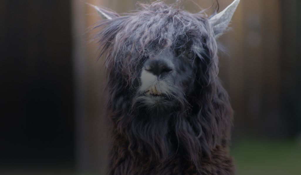 Se desvalorizando como profissional – Horaliv Se desvalorizando como profissional